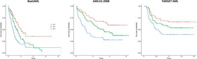 Evaluation of the Stellae-123 prognostic gene expression signature in acute myeloid leukemia